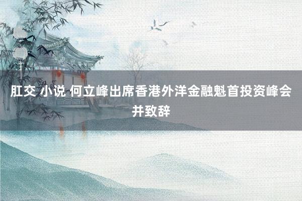 肛交 小说 何立峰出席香港外洋金融魁首投资峰会并致辞