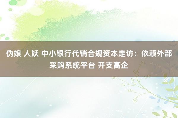 伪娘 人妖 中小银行代销合规资本走访：依赖外部采购系统平台 开支高企