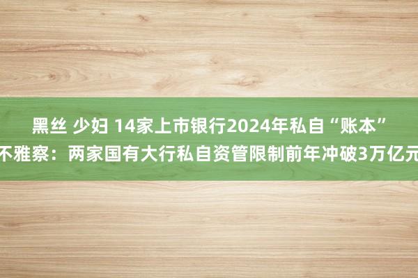 黑丝 少妇 14家上市银行2024年私自“账本”不雅察：两家国有大行私自资管限制前年冲破3万亿元